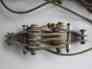 369d29905 Used Assy Engine Hoist Pn Mdhc Oem