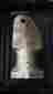 47-120-135 Unknown Main Rotor Grip