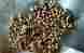 5325-00-726-6699 5352-00-726-6699 Stud Assembly Turnlock Fastener Bag Of 108 Pcs Nsn