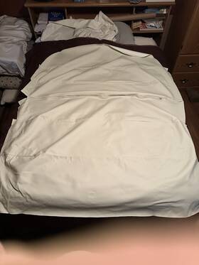 09-17486-1 Cessna 1963 To 1970 Except 1964 172 Headliner Off White Vinyl