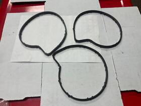 E4a-60-000-101 Diamond Water Pump Gasket