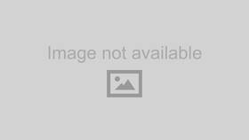 3632210924 Fasthouse Ytgrndpro Tbishop Pnt Wt 24-inch Grounding Terminal Block