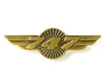 2-PACK Boeing 747 Wing Pins Us Stock Seller Gift Bag Great For Pilots. Fixed Price $17.98.