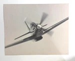 North American -51 Mustang Nut Tree Aviation Collection 8X10 Photo 1974. Fixed Price $25.00.