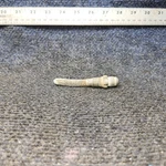 0422130 Cessna 172 Fuel Tank Strainer (finger Screen). Fixed Price $40.00.
