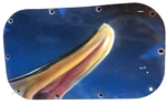 Beechcraft Bonanza Lower Engine Bay Door Panel Assembly Used. Fixed Price $36.99.