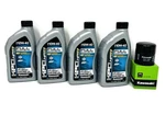 Kawasaki Oil Change Kit W/ Oem Filter 2004-2010 STX-15F 16097-0008 W61020-203A. Fixed Price $82.95.