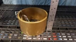 Boeing Helicopter Ring GR1005. Fixed Price $50.00.