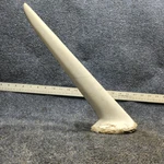 58-3003-1S Beechcraft F33A Communications Antenna. Fixed Price $79.00.