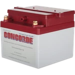 Concorde RG24-11M Battery 24V. Fixed Price $1169.84.