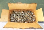 Aircraft Hose Clamps Aero-seal AN737TW66H. Fixed Price $149.90.