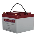 New Concorde RG24-10 Sealed Aircraft Battery (FAA-8130-3I Ncluded). Fixed Price $745.00.