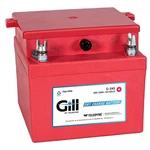 G243 Dry Battery Lead Acid. Fixed Price $869.12.