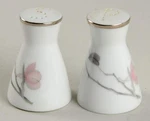 Rosenthal - Continental Japanese Quince Salt & Pepper 534610. Fixed Price $43.99.