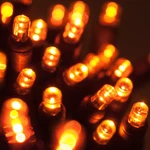 70 Orange Purple Green Led Halloween Lights, Black Wire, 24FT Party Porch Lawn. Fixed Price $29.99.