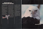 Grumman Beech Link Navy T-44 Aircraft Bald Eagle Vintage 1981 2PG Magazine Ad. Fixed Price $17.45.