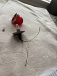 Grumman American Yankee AA-1 Beacon Light. Fixed Price $89.00.