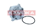 Kamoka T0129 Water Pump, Engine Cooling Alpina Audi Bmw Citro Fiat Ford. Fixed Price $23.14.