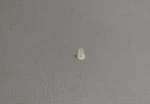 S1131-3 Cessna Insert Lot Of 4. Fixed Price $16.00.