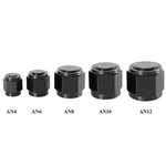 4/6/8/10/12 An Female Flare Fitting Cap Block Off Nut Aluminum For Fuel Systems. Fixed Price $5.39.