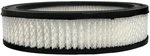 Acdelco A117C Air Filter. Fixed Price $19.02.