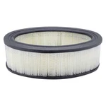 Baldwin Filters PA613 Air Filter, Oval 2XVY1. Fixed Price $16.69.
