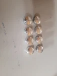 60828 Lycoming Piston Pin Plug. Fixed Price $15.00.