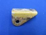 Cessna Seat Belt Fitting Front Lh Otbd & Rh Indb P/n 0510205-5 (0820-486). Fixed Price $55.00.