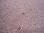Boeing Resistor Part # 443-0952-161 Nsn: 5905-00-913-5102. Fixed Price $10.00.