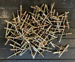 Rutan Poly Industries Blind Rivets (X100) M24243/3-D606 *-universal Head Style. Fixed Price $19.95.